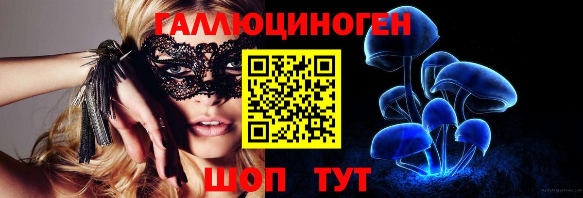 Псилоцибиновые грибы Psilocybe  Вход с VPN  Томск 