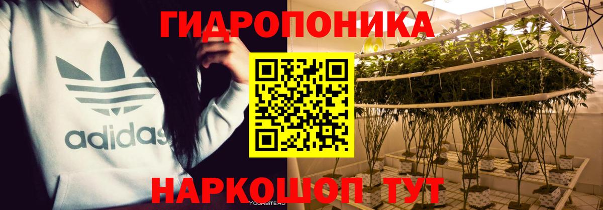 Конопля семена  Вход с VPN  Томск  Бошки марихуана AK-47  Канабис SATIVA & INDICA 